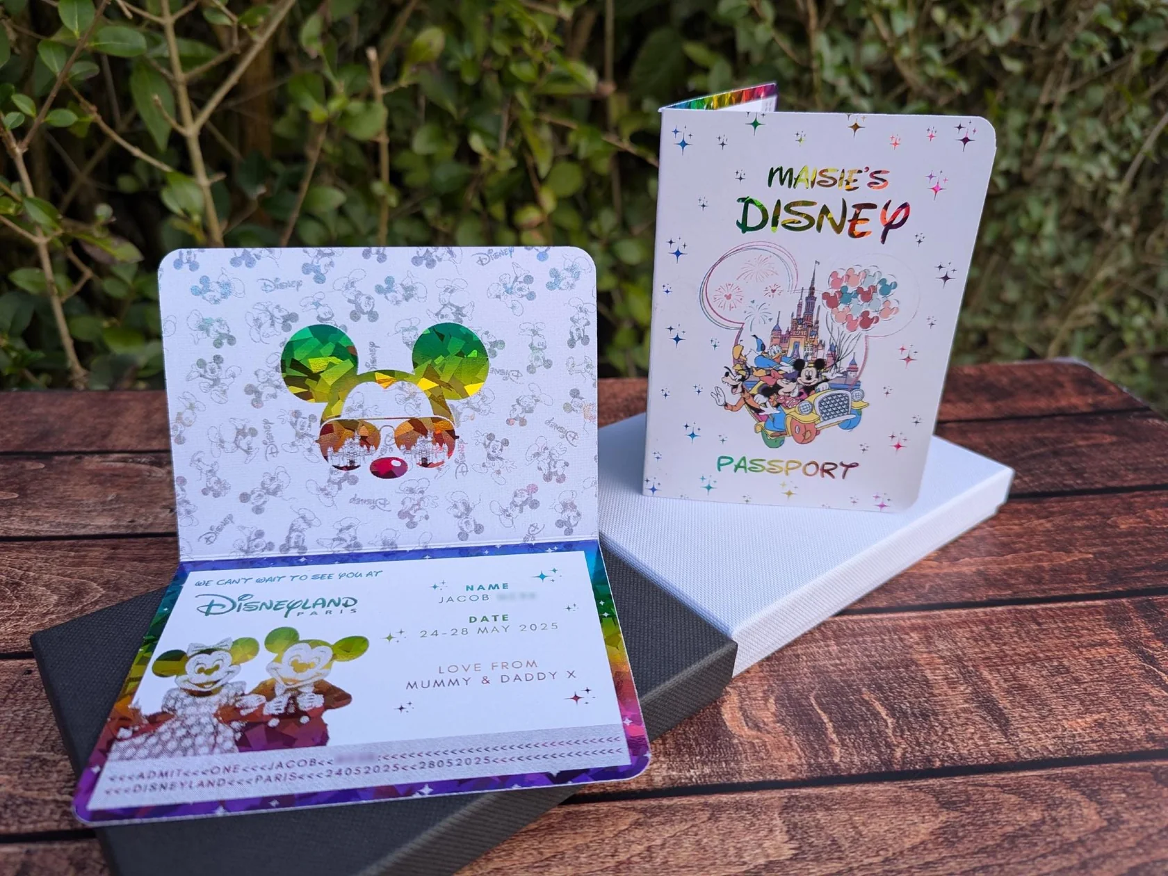 Disney passport - Image 3