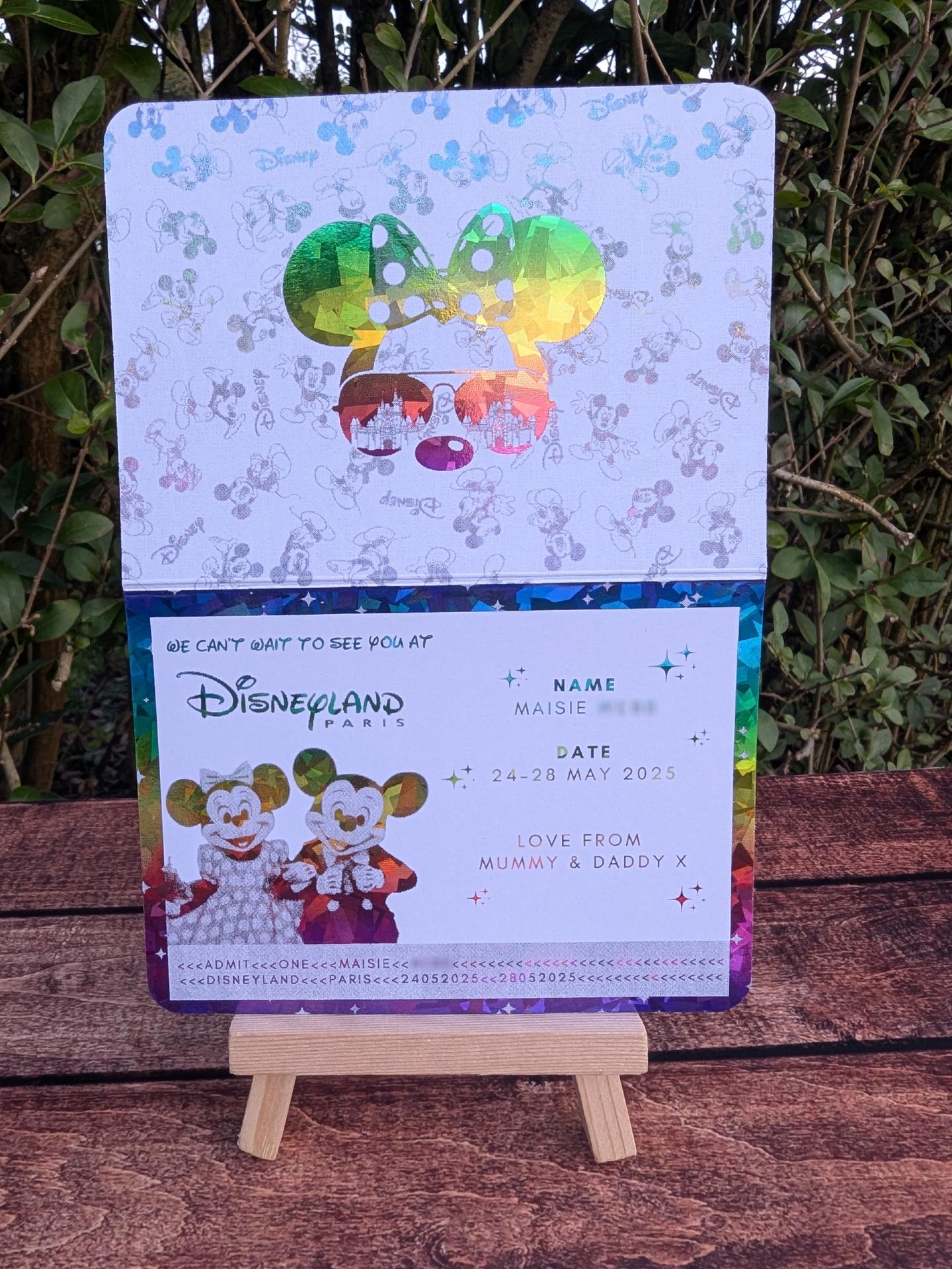 Disney passport - Image 2
