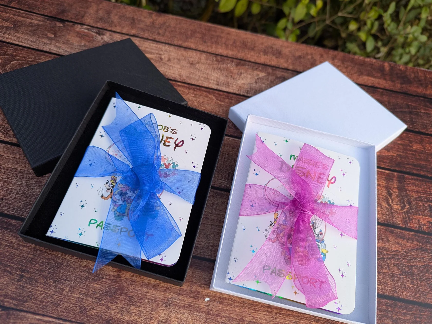 Disney passport - Image 7