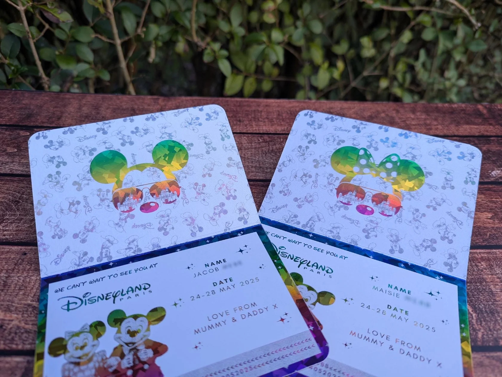 Disney passport - Image 4