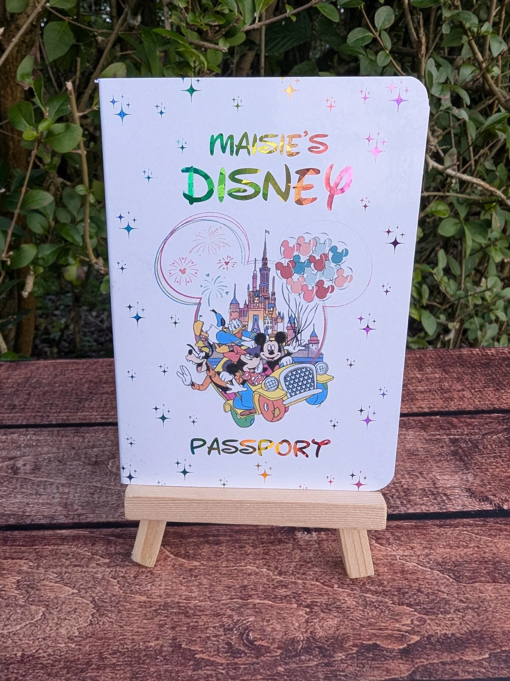 Disney passport - Image 5