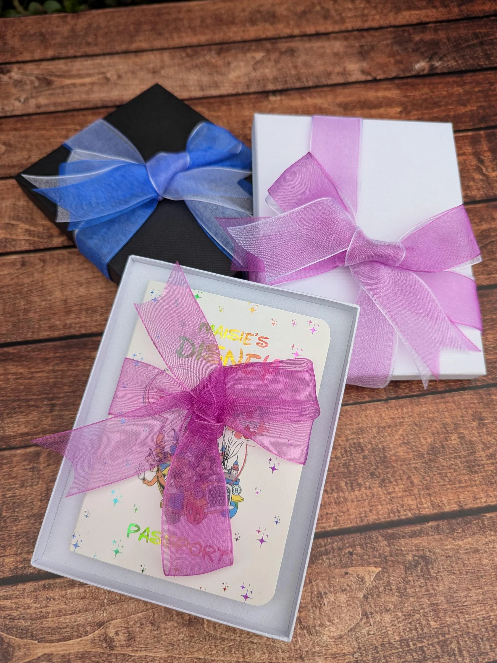 Disney passport - Image 6